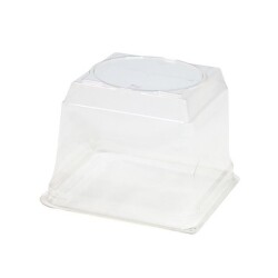 Kare Pasta Kabı Kapağı 12 cm - Özge Plastik