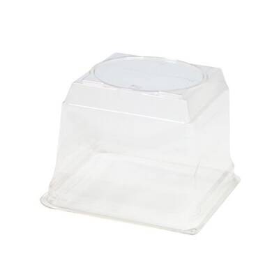 Kare Pasta Kabı Kapağı 12 cm - 1