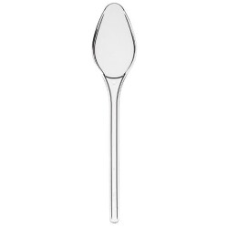 Modern Lüks Plastik Kaşık Şeffaf 5 gr - KullanatPazarı