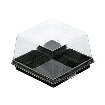 Siyah Taban Kare Pasta Kabı Set 12x12x8 cm - 1